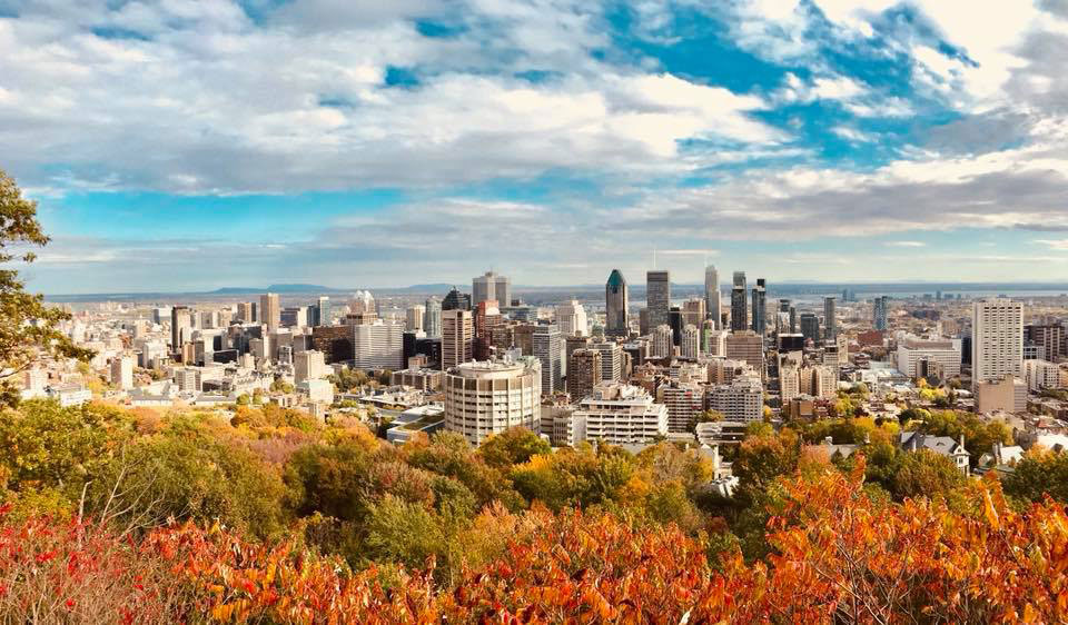 Vue sur Montréal depuis le Mont Royal