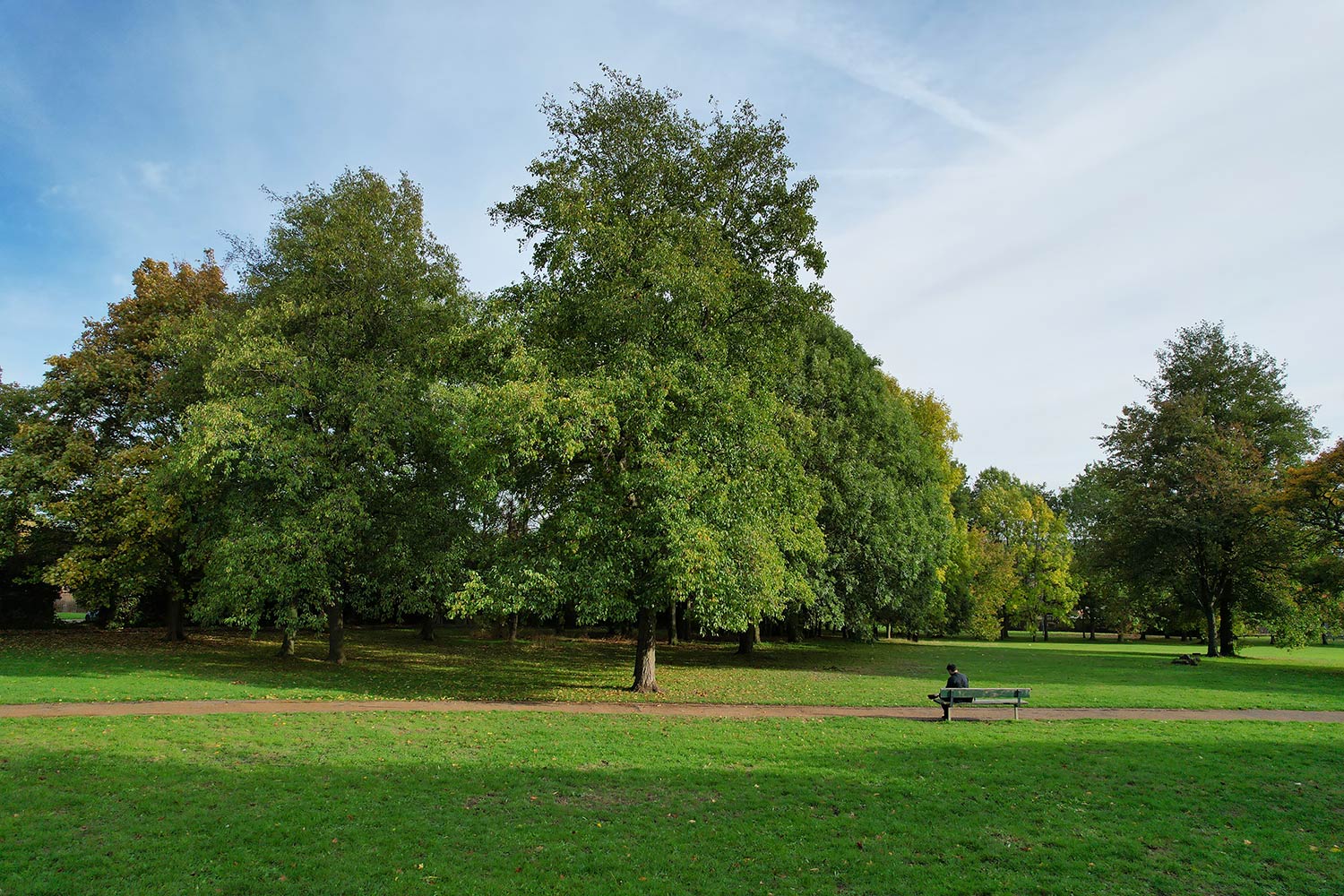 Hyde Park Londres