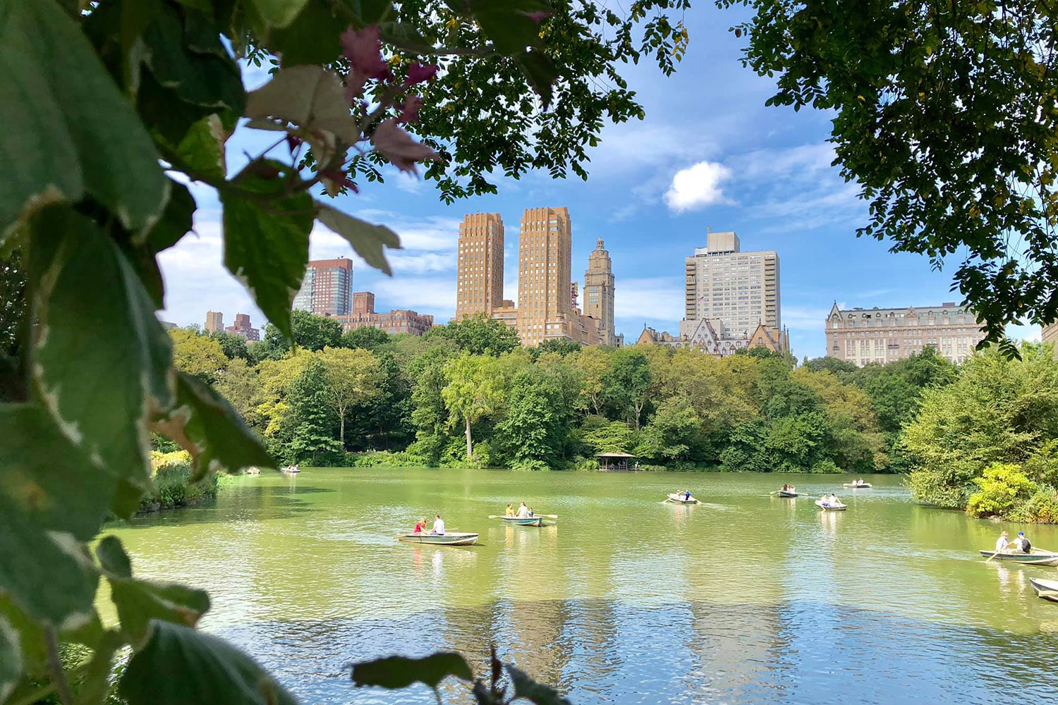 Central Park à New York