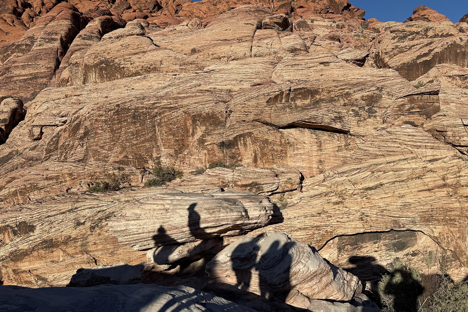 red rock canyon